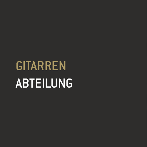 Header Gitarren-Abteilung