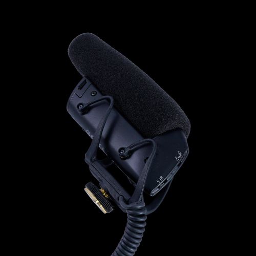 Shure VP83 Lenshopper