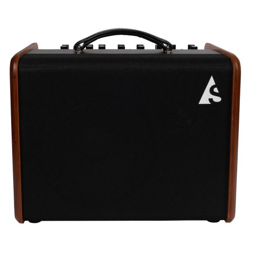 Godin ASG-8 Akustik solution Combo Wood 