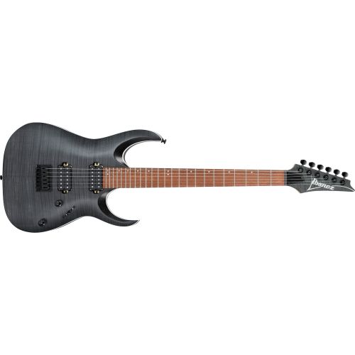 Ibanez RGA42FM-TGF Transparent Grey Flat