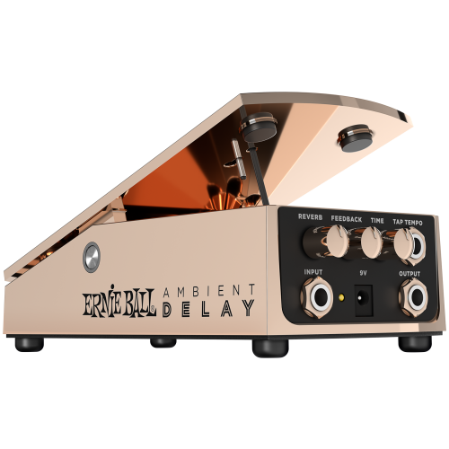 Ernie Ball Expressionpedal, Ambient Delay, Bronze