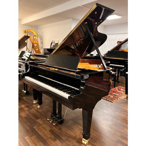 W.Hoffmann V-175 Flügel schwarz poliert Showroom Instrument