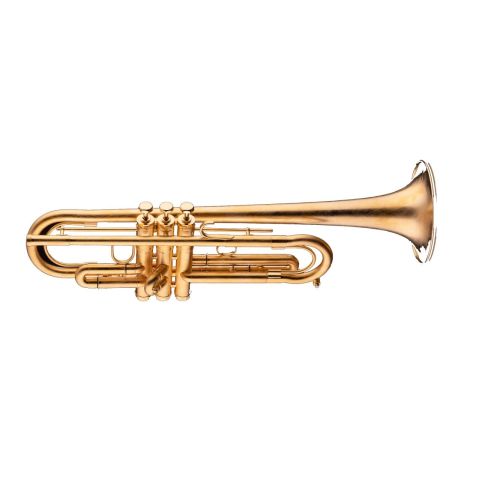 Schagerl LU5A B-Trompete scratched gold