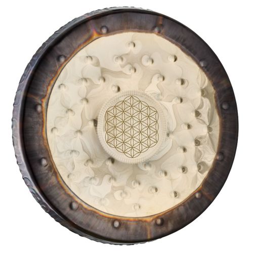 Meinl SGFOL22 Sonic Energy 22