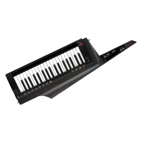 Korg RK-100S2 BK