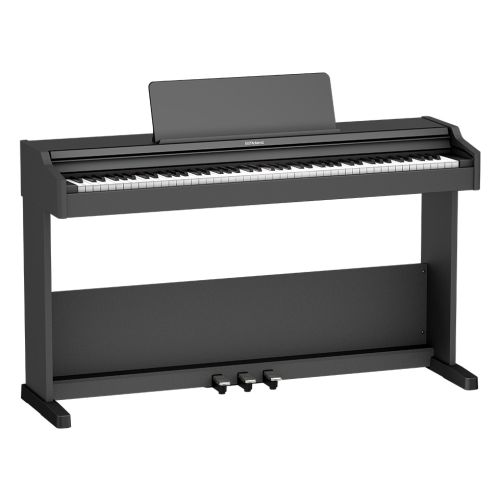 Roland RP-107 BKX