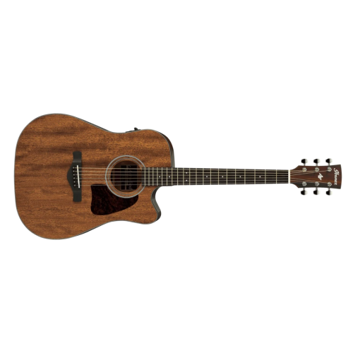 Ibanez AW54CE-OPN