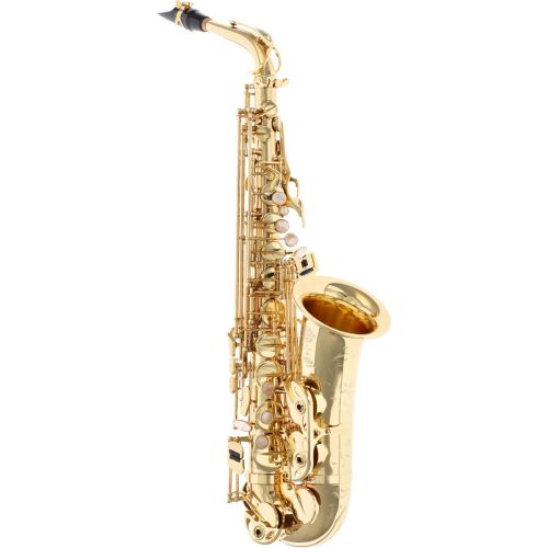 Selmer SA 80 II A2L Set Alt-Saxophon