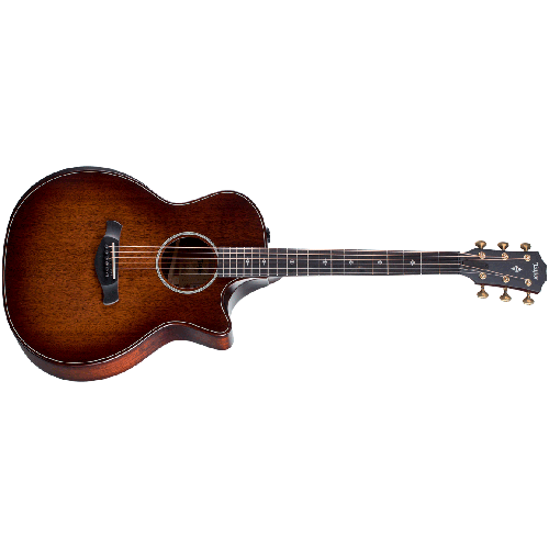 Taylor 324ce Builder's Edition V-Class