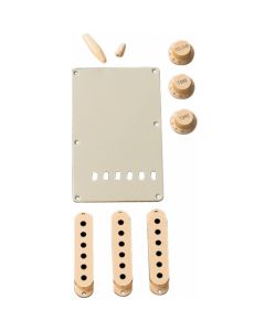 Fender Stratocaster Accessory Kit Aged White