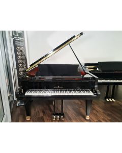 Schimmel Flügel C-213T
Flügel Nürnberg