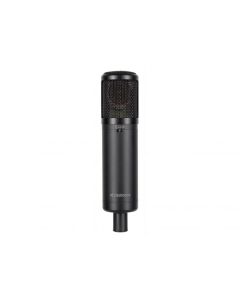 SE Electronics 2300 Showroommodel