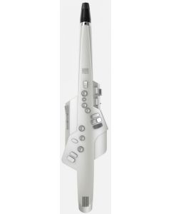Roland Aerophone AE-10