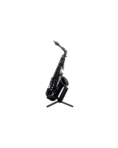 Stalaxy Altsaxophon schwarz