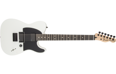 Fender Jim Root Telecaster Flat White