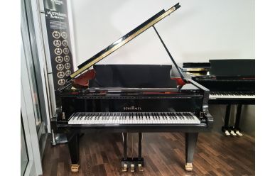 Schimmel Flügel C-213T
Flügel Nürnberg