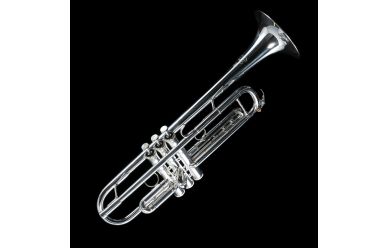 Yamaha YTR-8345RGS 04 B-Trompete
