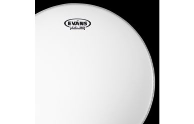 Evans B16G2 G2 coated Tomfell 16"