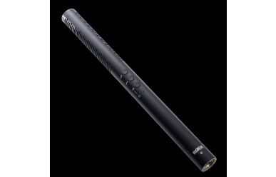 Rode NTG-4+