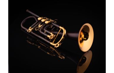 Schagerl Ganschhorn Light B-Trompete Vintage Glänzend Lack mit goldenen Kleinteilen