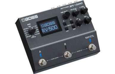 Boss RV-500