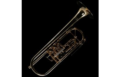 Ricco Kühn Professional T-053 B-Trompete versilbert + vergoldet 130