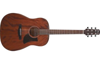 Ibanez AAD140-OPN