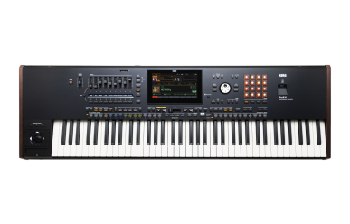 Korg PA-5X/76 International