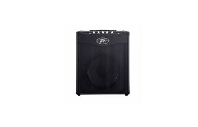 Peavey Max 110 Basscombo 100W/8"