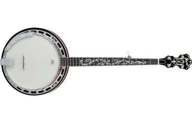 Ibanez B200 5-String Banjo 