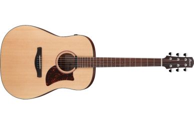 Ibanez AAD100E-OPN