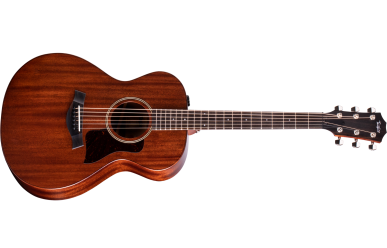 Taylor AD22e