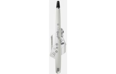 Roland Aerophone AE-10