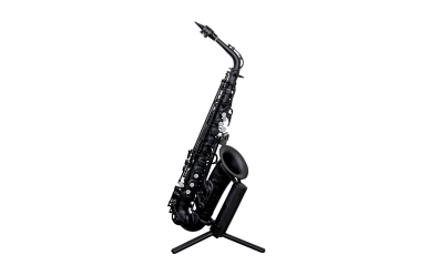Stalaxy Altsaxophon schwarz