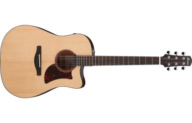 Ibanez AAD170CE-LGS 
