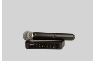 Shure BLX24E/SM58-M17
