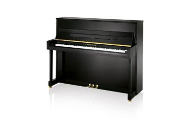 C.Bechstein A 114 Compact 