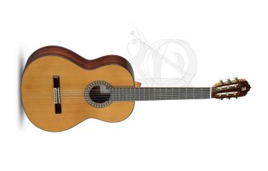 Alhambra 5P inkl. Gig Bag
