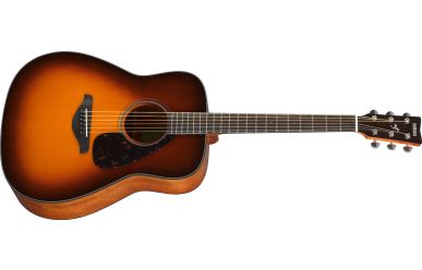 Yamaha FG800 BS