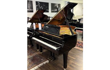 Yamaha Flügel G-2 
Gebrauchter Flügel Yamaha
Flügel in Nürnberg