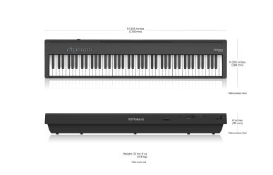 FP-30X BK 