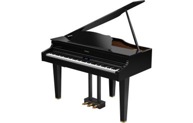 Roland GP607-PE