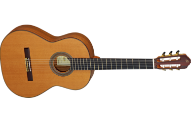 Ortega M2CS Custom Master Selection