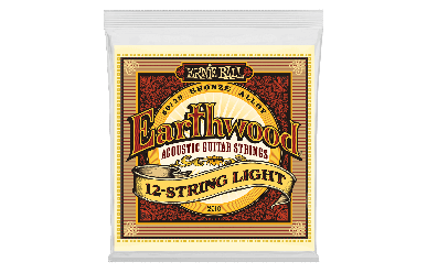 Ernie Ball 2010 Earthwood 12-String Light Bronze 