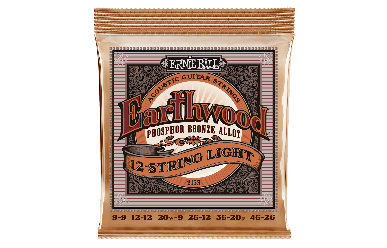 Ernie Ball 2153 Earthwood 12-String Light Phosphor Bronze