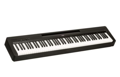 Yamaha P-145 B