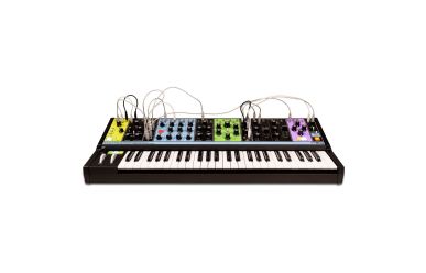 Moog Matriarch