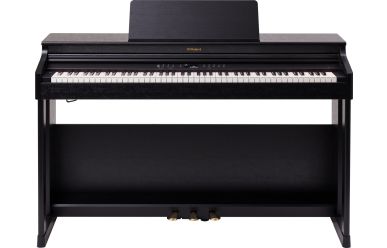 Roland RP-701CB