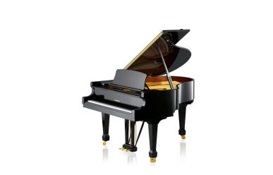W.Hoffmann T -177 Flügel schwarz poliert